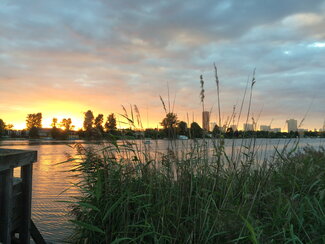 Summer Evening Swimming in the Old Danube